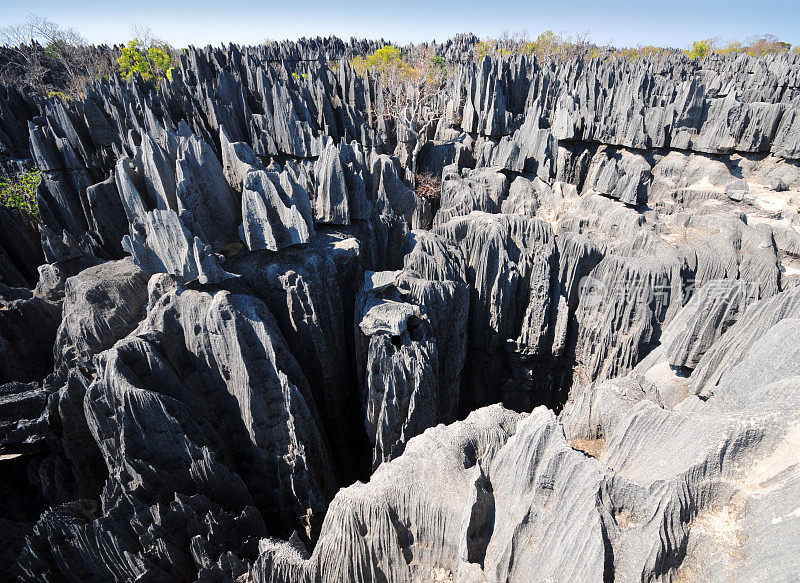 马达加斯加的Tsingy de Bemaraha